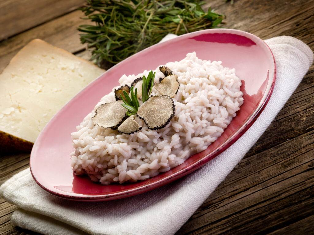 rice with truffle over red dish, selective focus