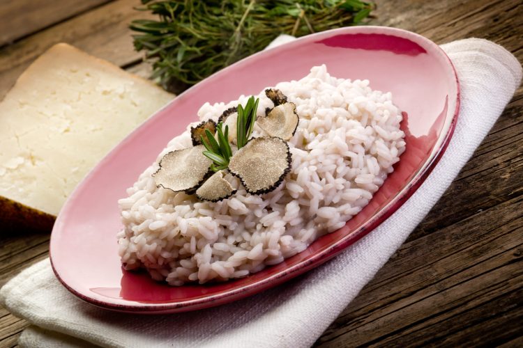 rice with truffle over red dish, selective focus